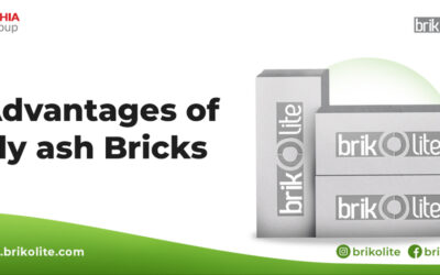 ADVANTAGES OF FLY ASH BRICKS